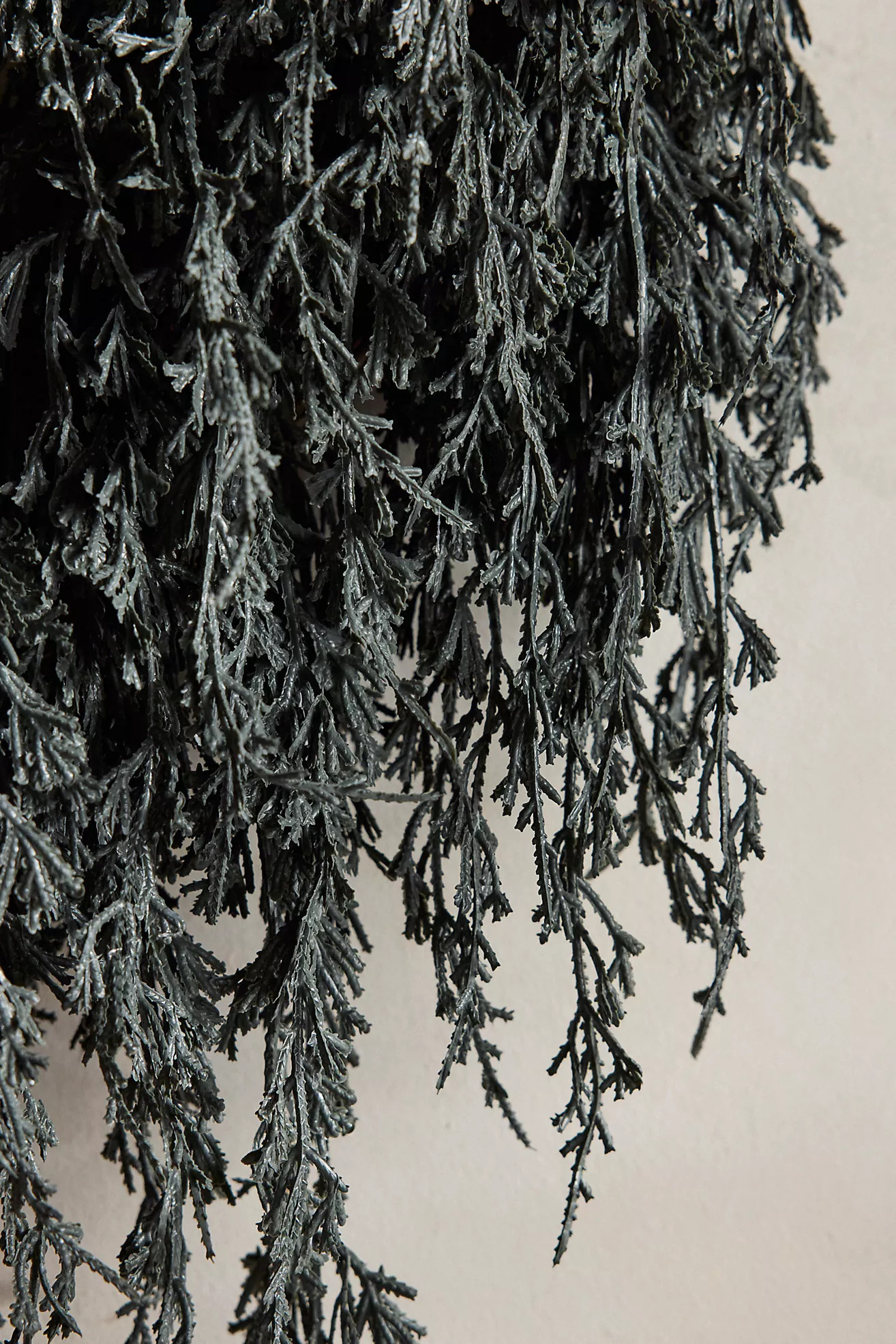 Cascading Black Boughs Wreath | Anthropologie (US)