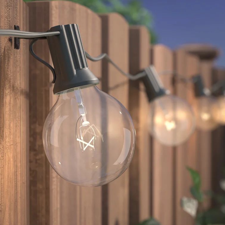 Wayfair Basics 25' Outdoor Plug-in 25 - Bulb Globe String Light | Wayfair North America