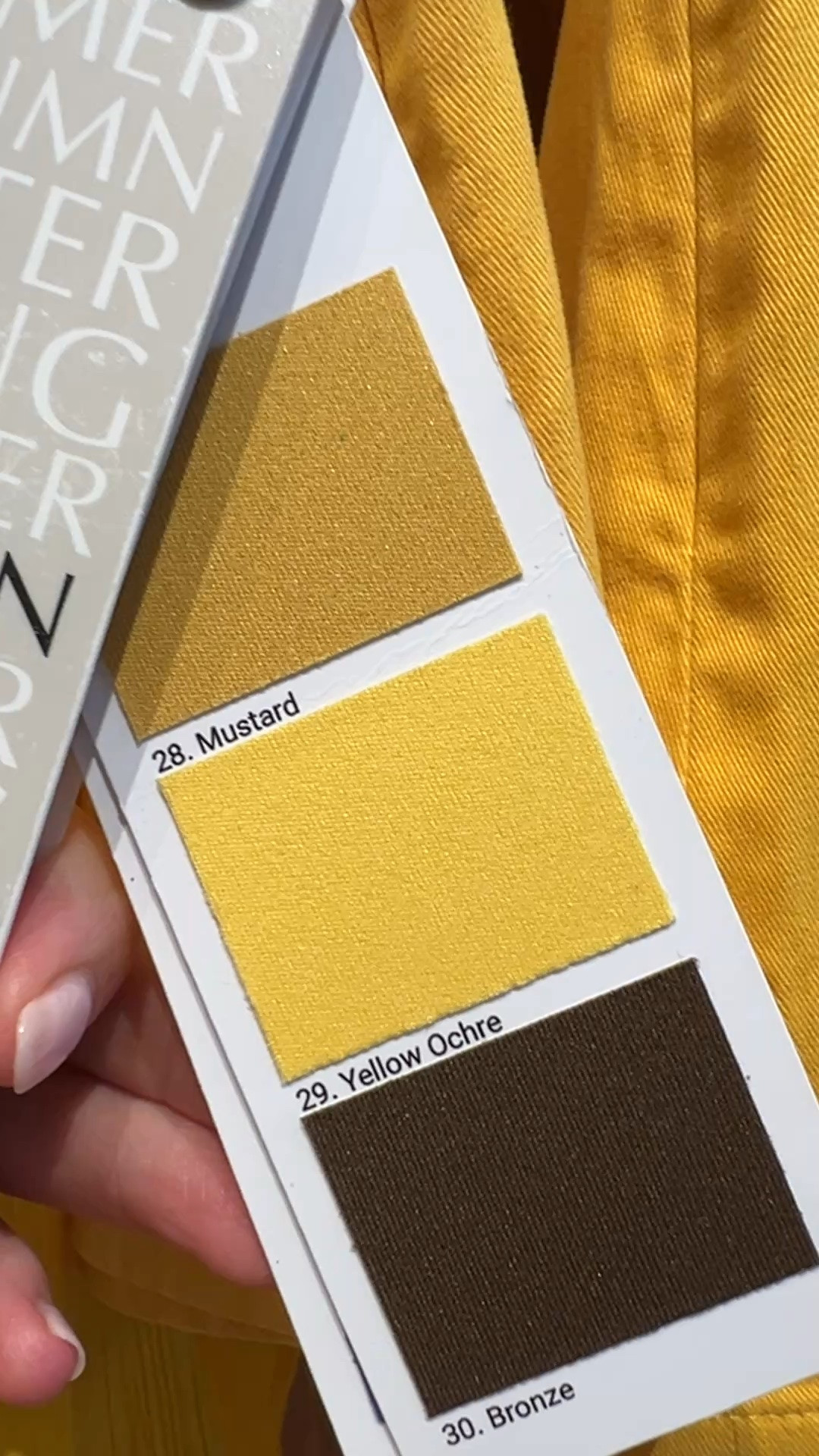 Spotted! Autumn’s Yellow Ochre!