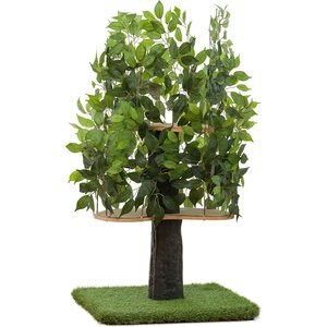 On2Pets 48-in Medium Square Modern Cat Tree | Chewy.com