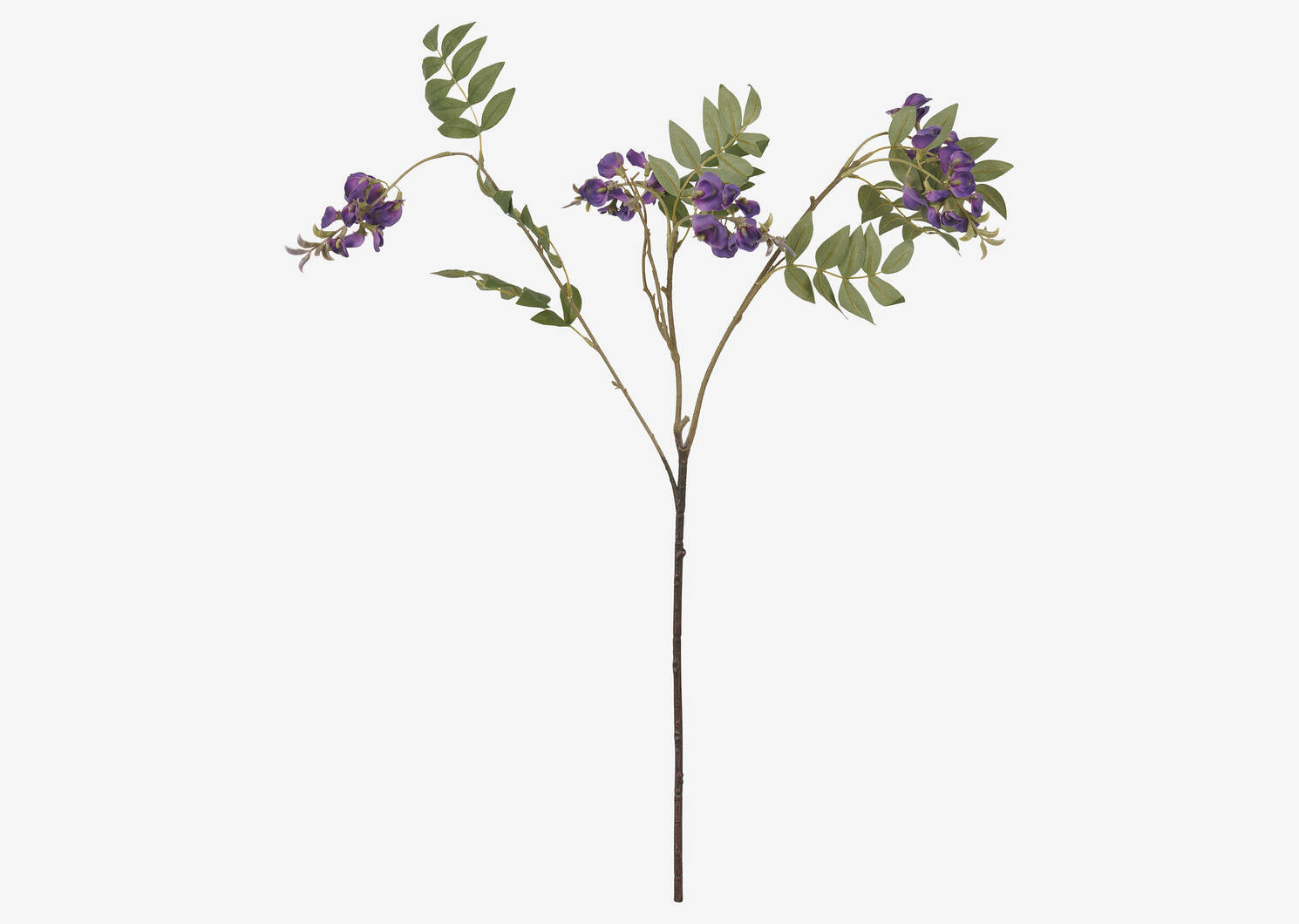 Byer Wisteria Branch Ivory | Urban Barn