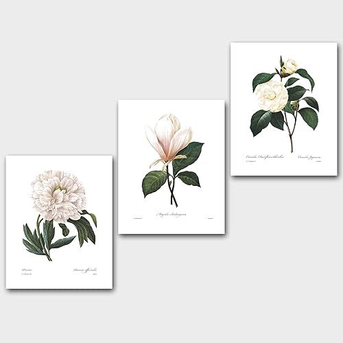 Set of 3 Botanical Prints, White Decor (Redoute Flower Wall Art, Peony Magnolia) Unframed 8x10 inch | Amazon (US)