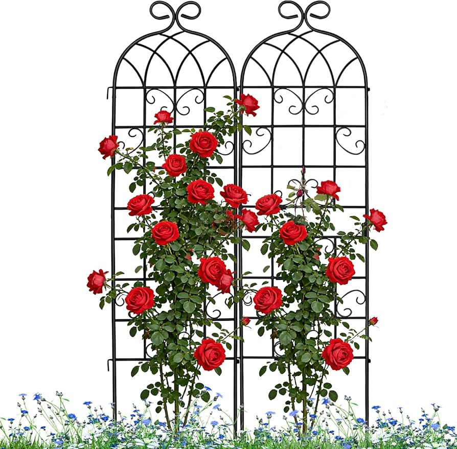 Lorenzo 2 Pcs 70 x 19.7 Inch Metal Garden Trellis for Climbing Plants Outdoor, Black Coated Frame... | Amazon (US)