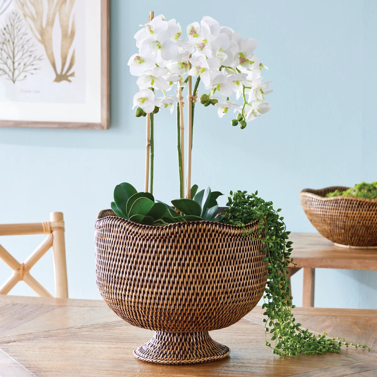 Bridger Handmade Rattan Cachepot | Wayfair North America