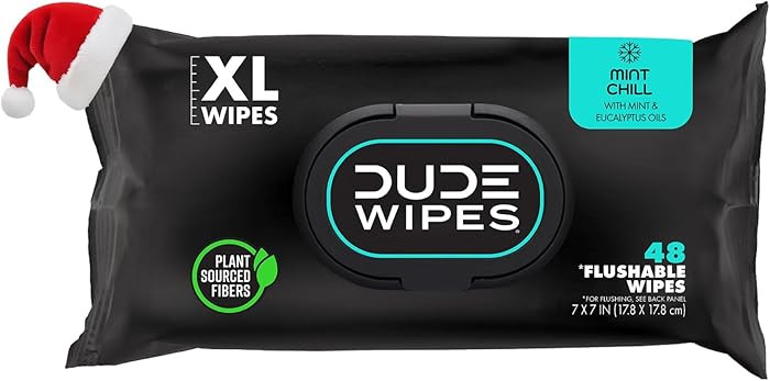 DUDE Wipes - Flushable Wipes Stocking Stuffers - 1 Pack, 48 Count - Mint Chill - Vitamin-E, Aloe,... | Amazon (US)
