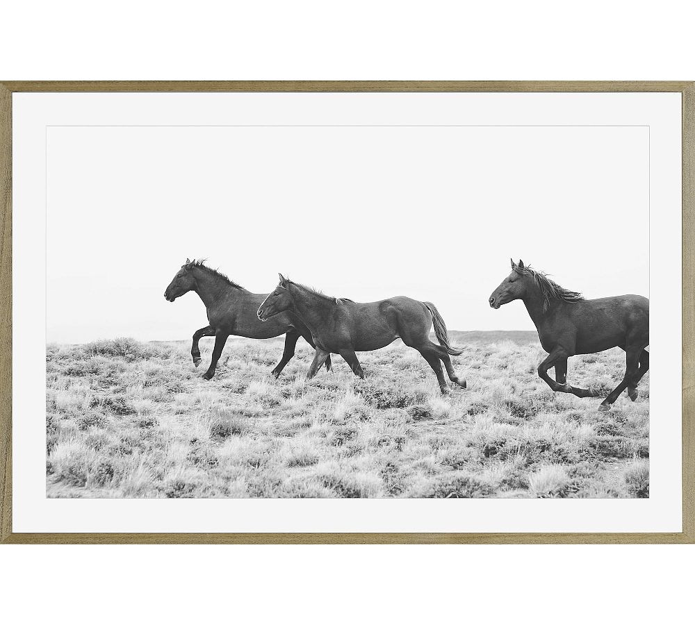 American Wild Horses by Jennifer Meyers | Pottery Barn (US)