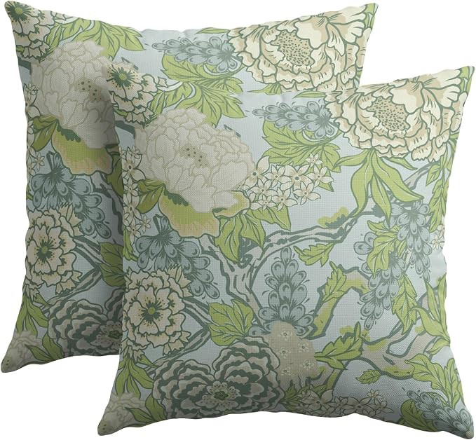 Sage Green Spring Flower Pillowcase Set of 2 Chinoiserie Floral Throw Pillows Square 20x20 Inch S... | Amazon (US)