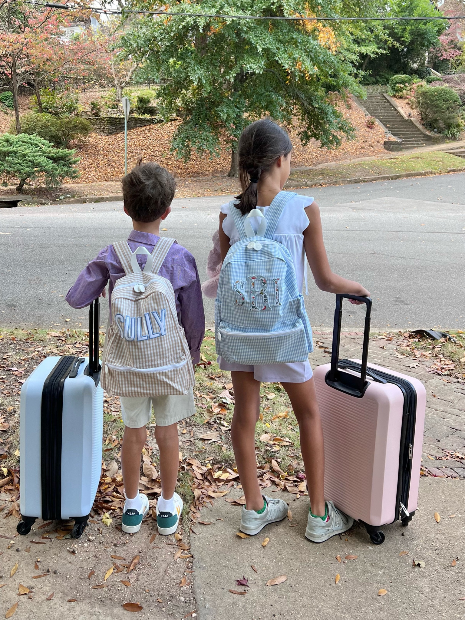 Luggage we own and love! Brought them again to Disney and ordered Shep his own! (Pic from Nov 22) 

#LTKfindsunder50 #LTKkids