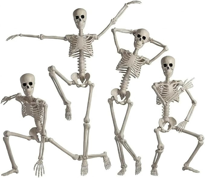 4Pack 36 Inches Pose-N-Stay Halloween Skeleton Life Size Full Body Posable Movable Jonints for Ha... | Amazon (US)