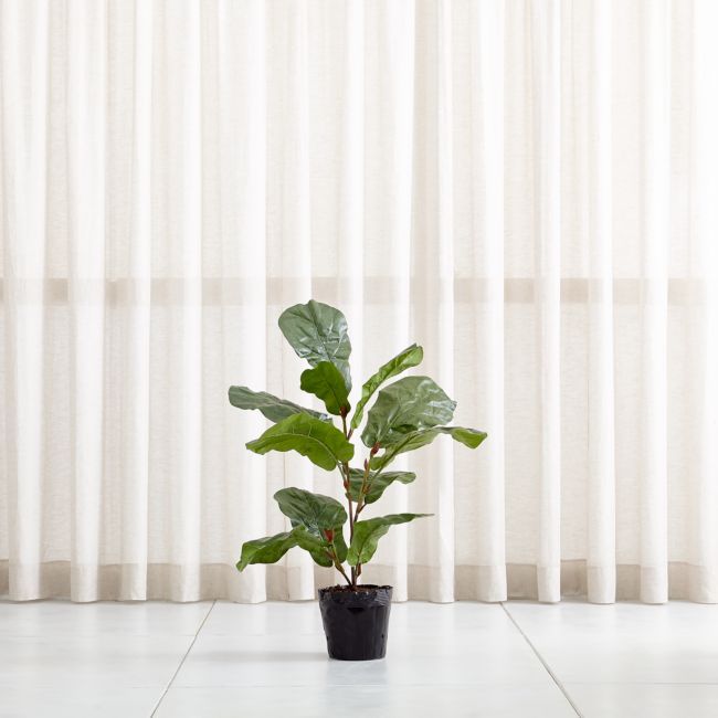 Faux 3.5' Fiddle Leaf Fig Tree | Crate & Barrel