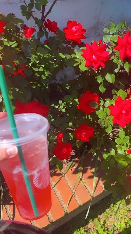 ringing in #37weekspregnant with my hospital bags 🏥💼📷 officially packed 🥳✔️ (check out my latest reel 😍) and a pink drink 💗 (thanks to @wesmabry 😘) with pink flowers all over the yard !!! 🌸 

#LTKSeasonal