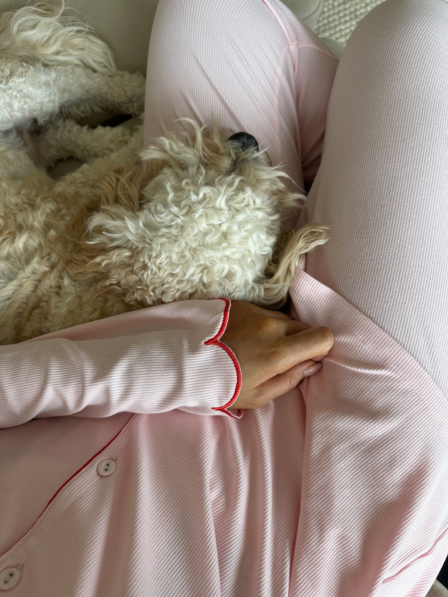 Scallop pajamas, scallop pjs, light pink, red trim, comfy, cosy, the nap co.



#LTKuk #LTKsummer #LTKeurope