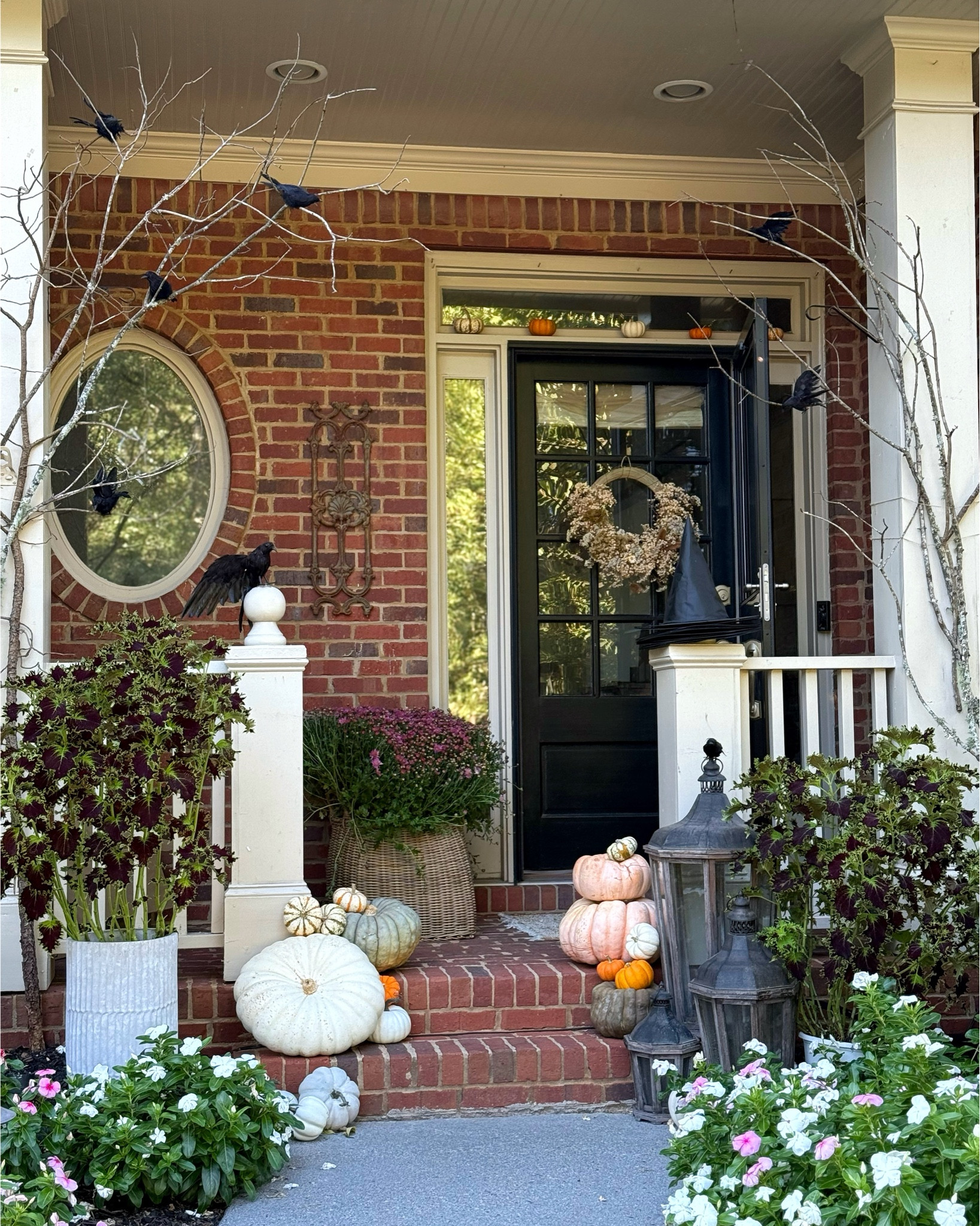 I tried not to buy much for my front porch this year. Just pumpkins, mums and a wreath. Everything else I had or foraged for. I wanted more branches, but if you know about Joro spiders, you would understand my hesitation to walk into the woods to look for more.  Eeeek!  There’s some the size of my hand! 



#LTKHalloween #LTKHome #LTKSeasonal