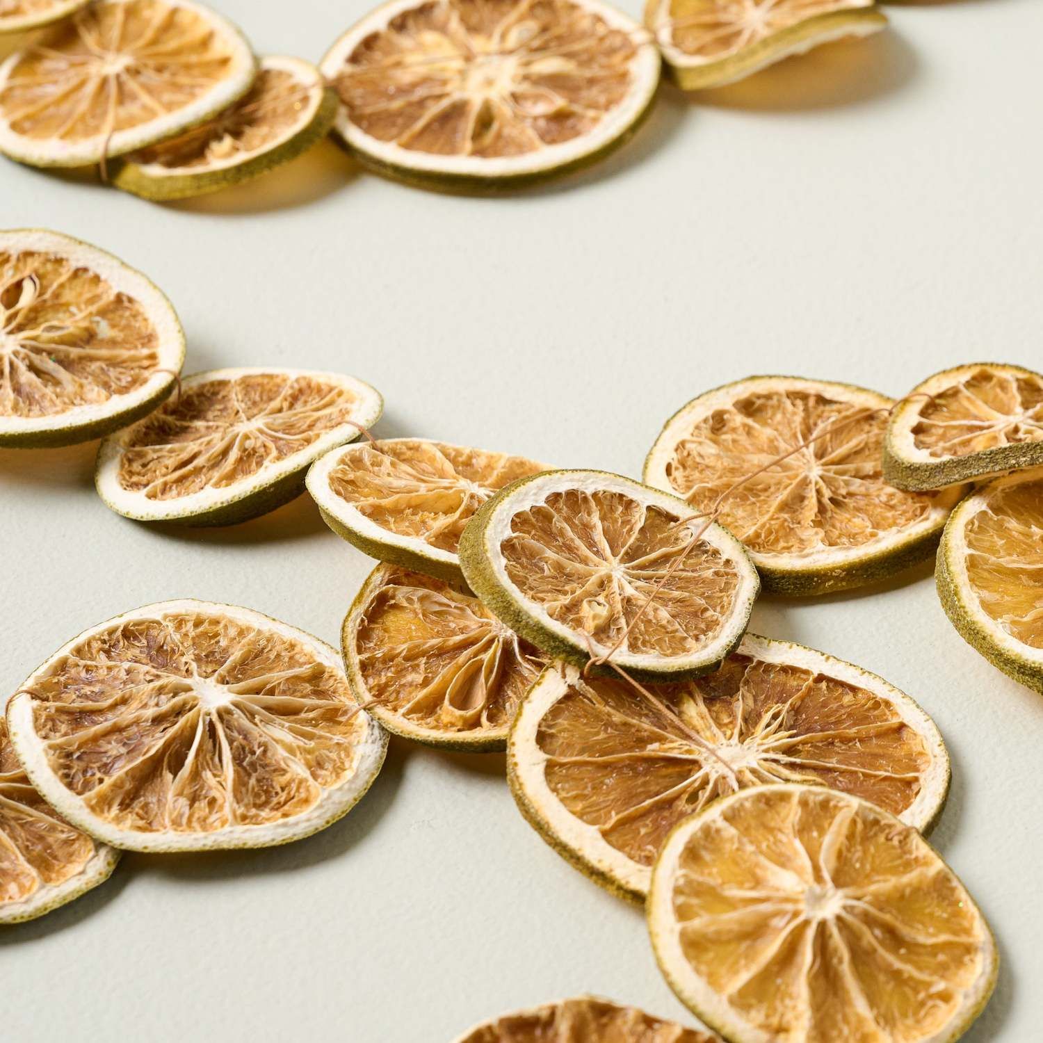 Dried Citrus Slice Garland | Magnolia