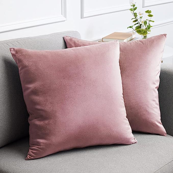 lalaLOOM Luxurious Silky Velvet Pillow Covers, 18x18, Set of 2, Softest Decorative Throw Pillowca... | Amazon (US)