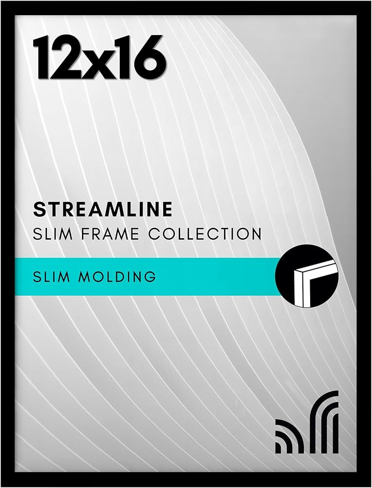 Americanflat 12x16 Picture Frame with Polished Plexiglass - Streamline Collection - Thin Border P... | Amazon (US)