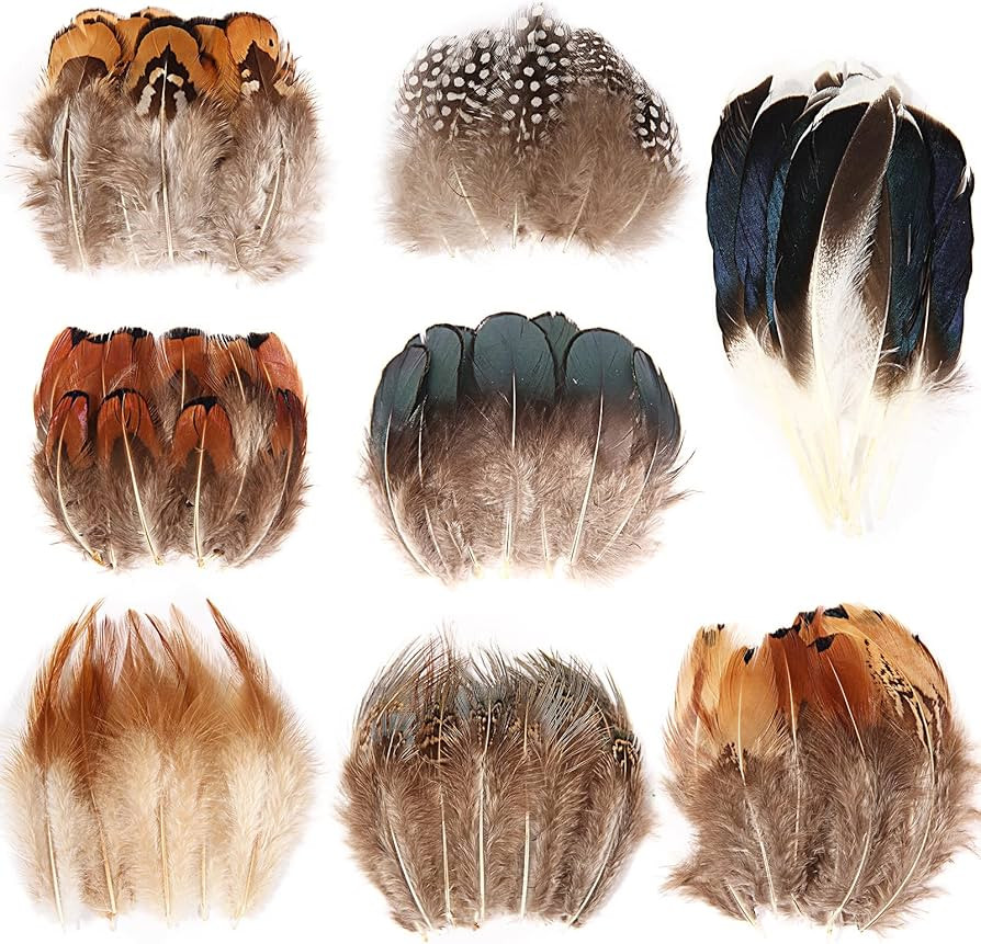 THARAHT 240pcs Mix Colour Eight Style Spotted Small Natural Bulk Feathers 2-6 Inches for for Sewi... | Amazon (US)