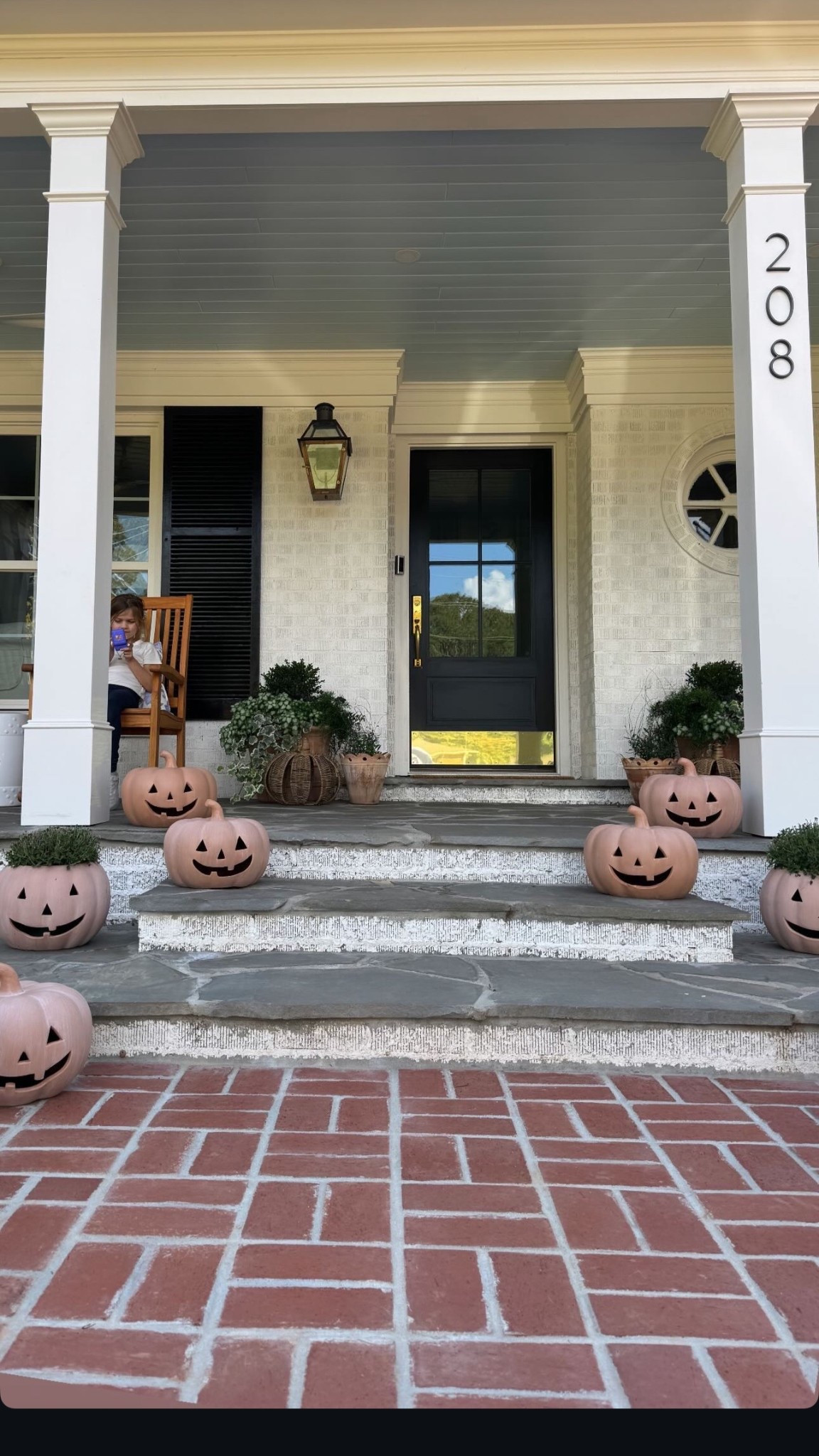 Pumpkins back in stock! 