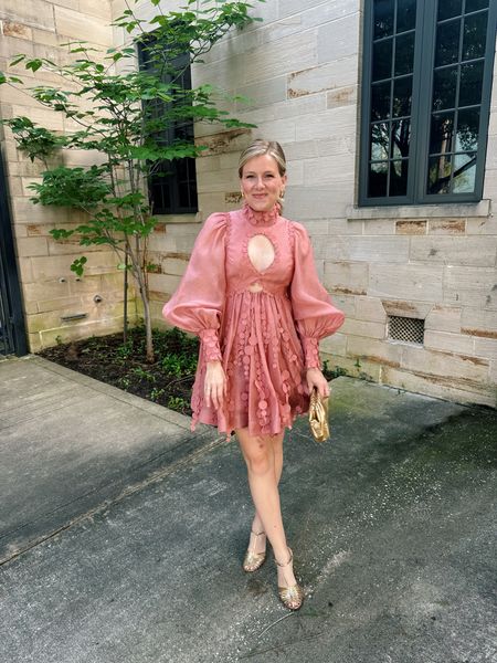 Wedding guest dress by Zimmermann — runs tts

#LTKWedding