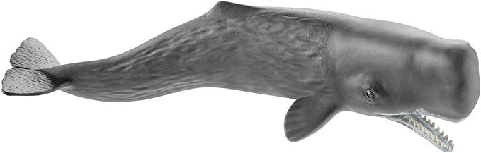 Schleich Wild Life Ocean Animal Toy for Boys and Girls Ages 3+, Sperm Whale | Amazon (US)
