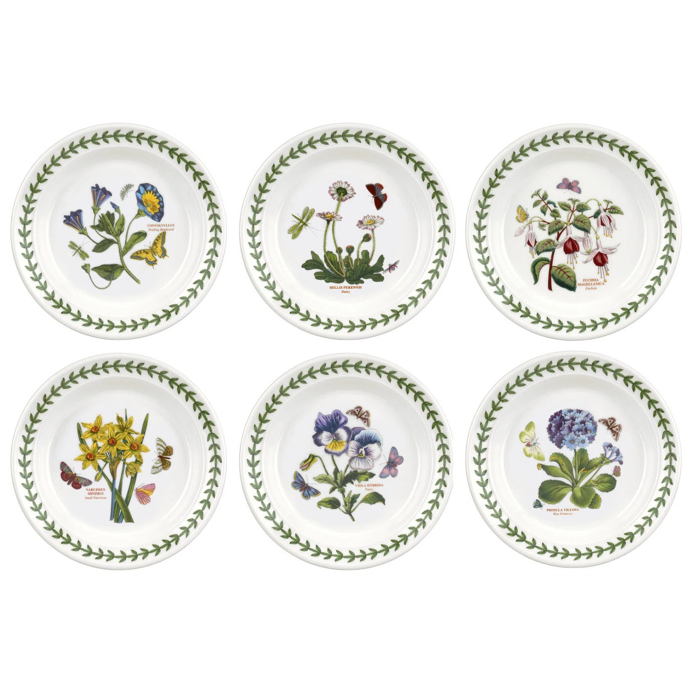 Portmeirion Botanic Garden Side Plate 6.5" (Set of 6) | Wayfair North America