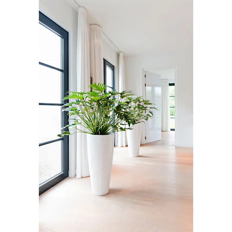 Aiello Fiberstone Pot Planter | Wayfair Professional