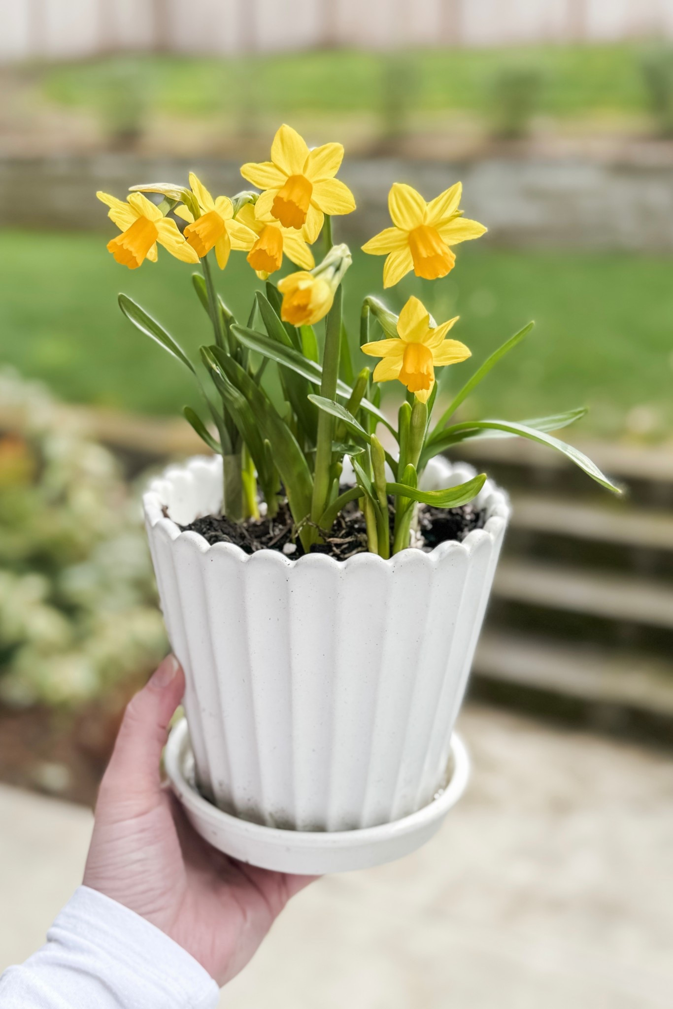 🌼🌼🌼 

#LTKHome #LTKSeasonal