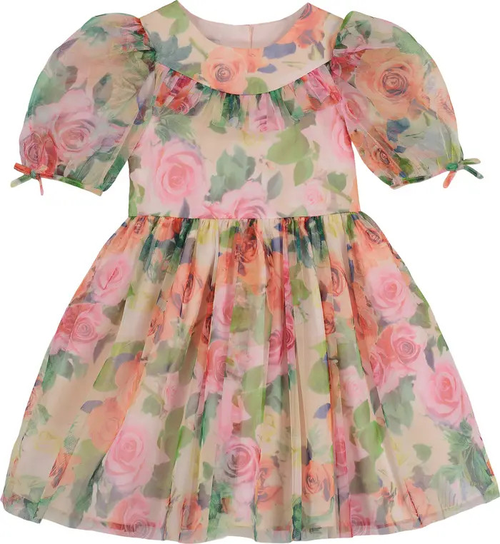 Kids' Floral Print Puff Sleeve Party Dress | Nordstrom