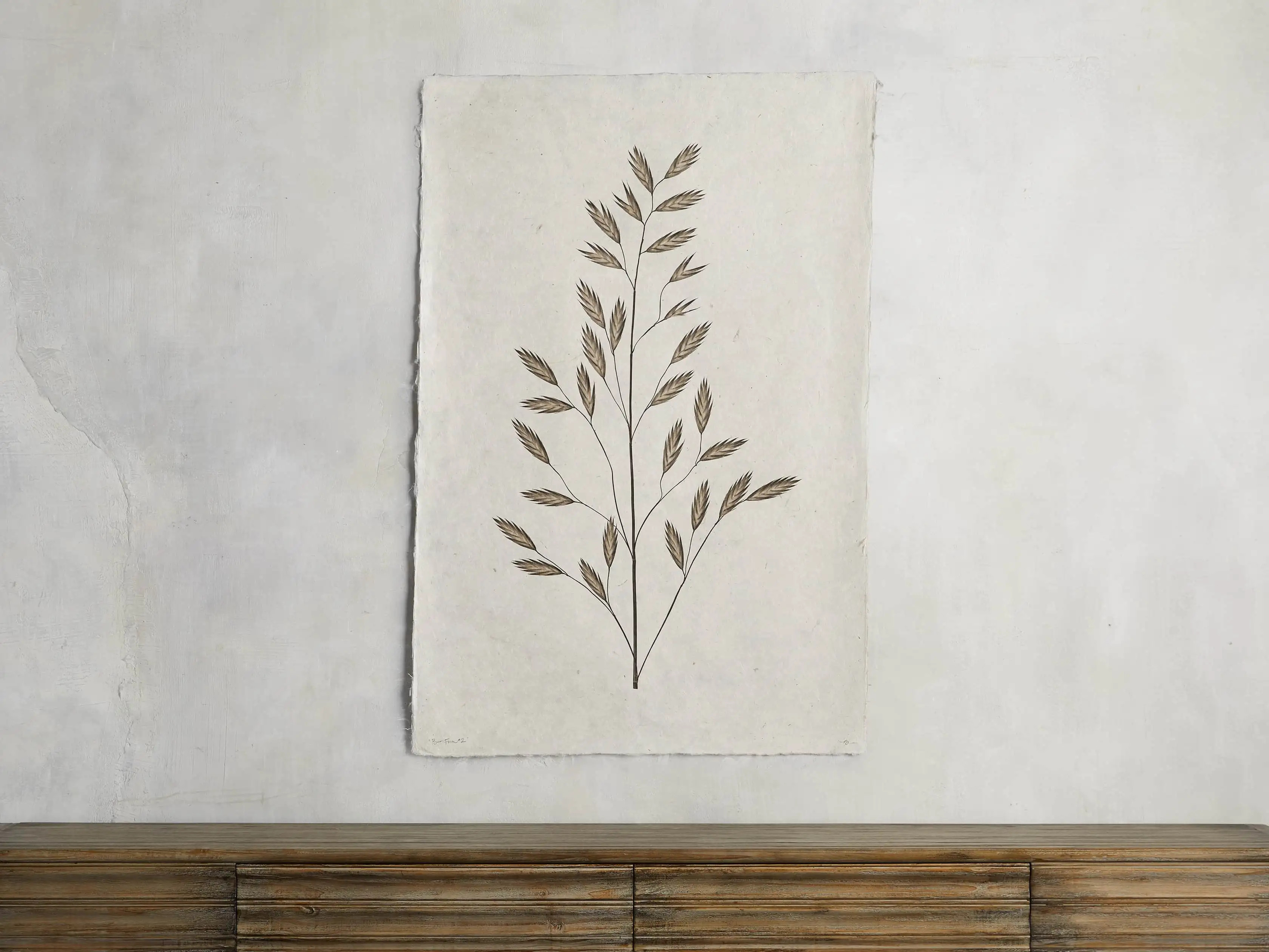 Burr Study Print II | Arhaus