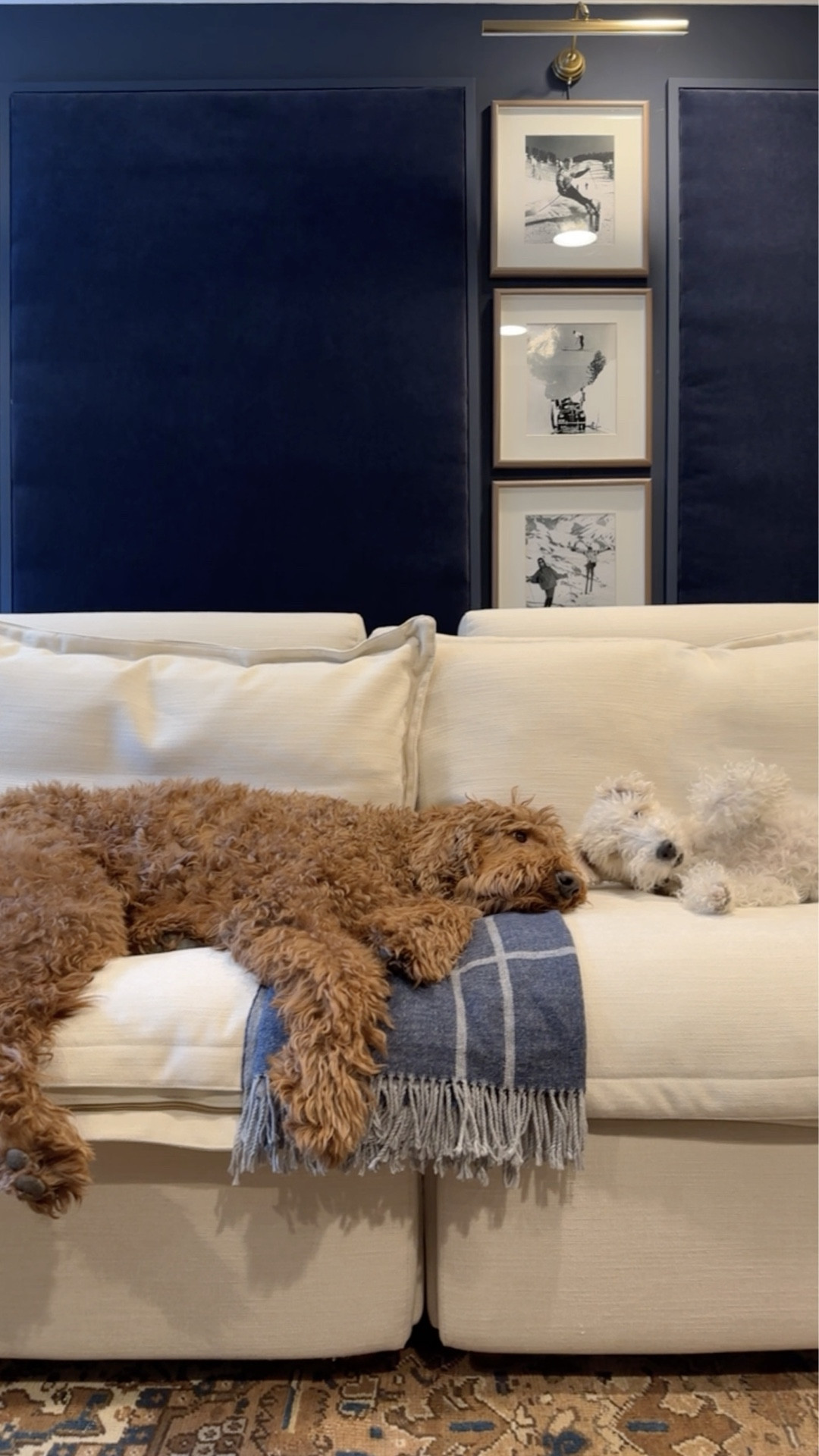 I live for cozy snuggles with these two this time of year. Favorites linked!

#LTKHome