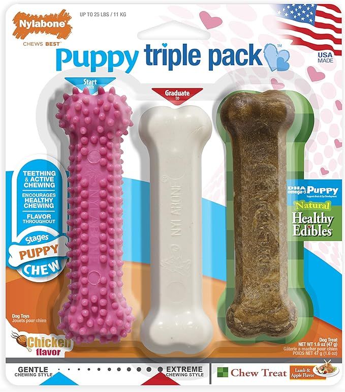 Nylabone Puppy Starter Kit Dog Chew Toys | Amazon (US)