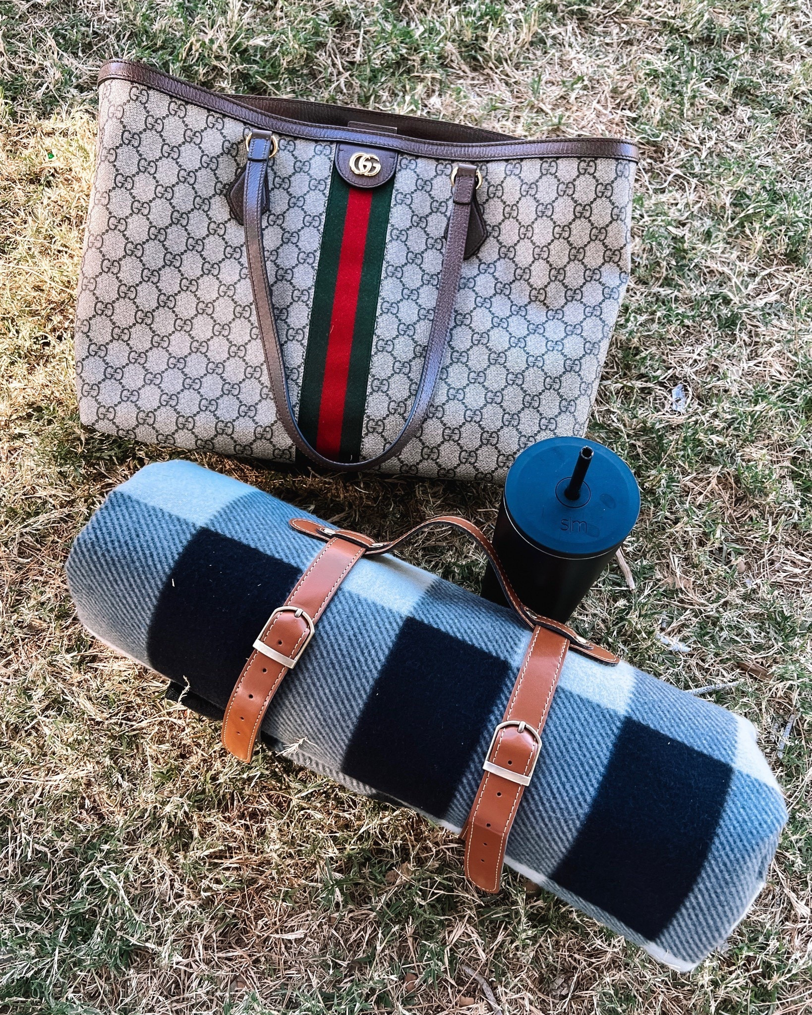 Spring sports are around the corner!
Soccer day essentials..LOVE this outdoor water resistant blanket..great for picnics too…the colors are beautiful and it comes with this strap to Carry it..my go to water bottle in matte black and carry all gucci bag! 
#LTKhome


#LTKKids #LTKTravel #LTKSeasonal