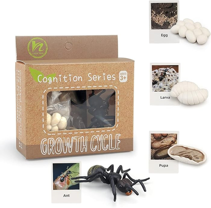 Montessori Life Cycle Animal Figures with Flash Cards, Realistic Animal Figurines Toy, Educationa... | Amazon (US)