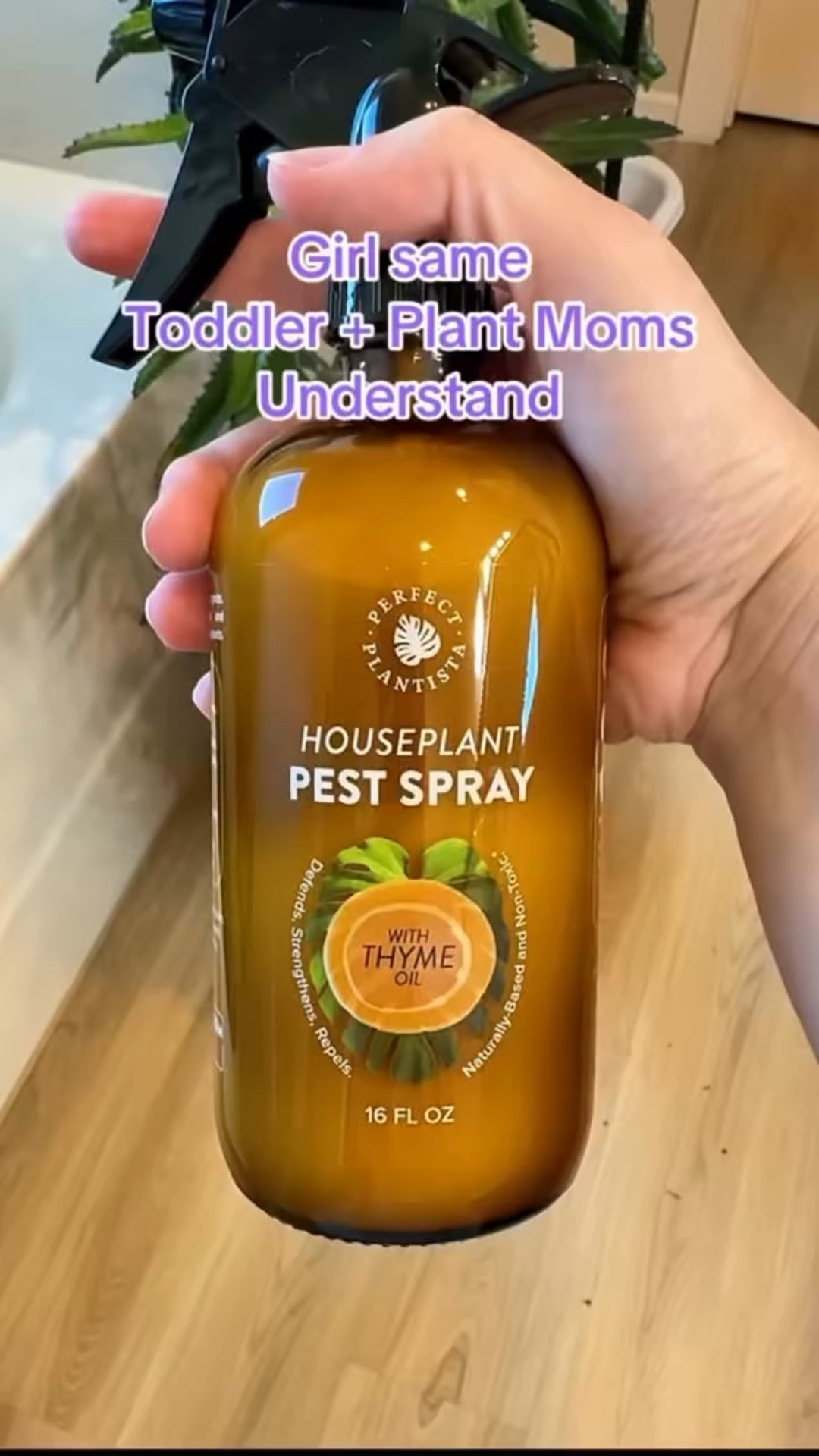 If mom-life stole your plant-care routine, same. This spray uses real ingredients I can pronounce and makes pest care feel doable again. Perfect for busy plant moms who still want leafy babies thriving. 🌿🤎 www.perfectplantista.com/LEIGHANNA **use code LEIGHANNA at checkout for 20% off!** 

#plantmom #plantcare101 #indoorgardening #momsoftiktok #ad

#LTKmomlife #LTKHome