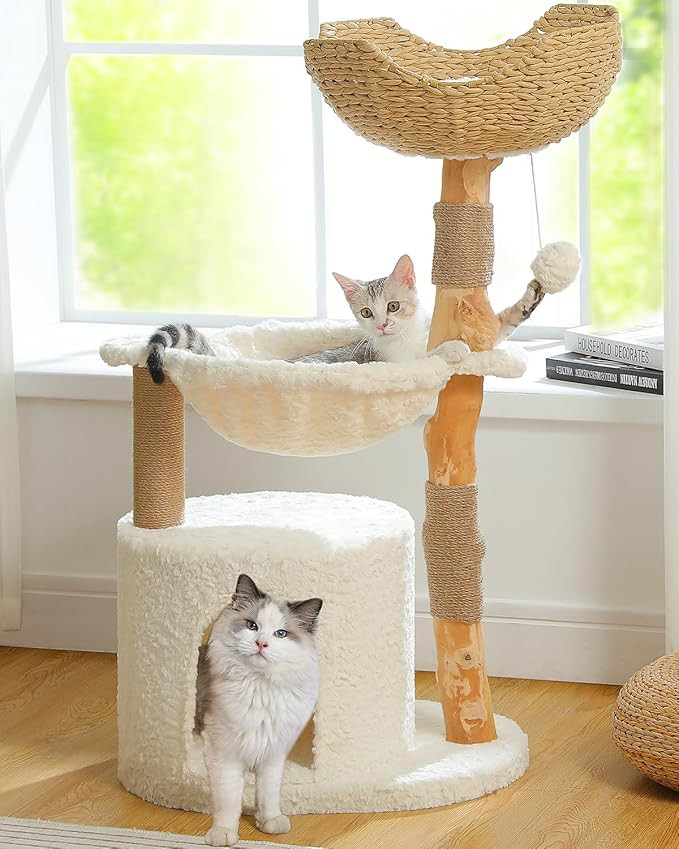 Modern Cat Tree for Large Cats, Wood Cat Tower for Indoor Cats, Real Branch Luxury Cat Furniture ... | Amazon (US)