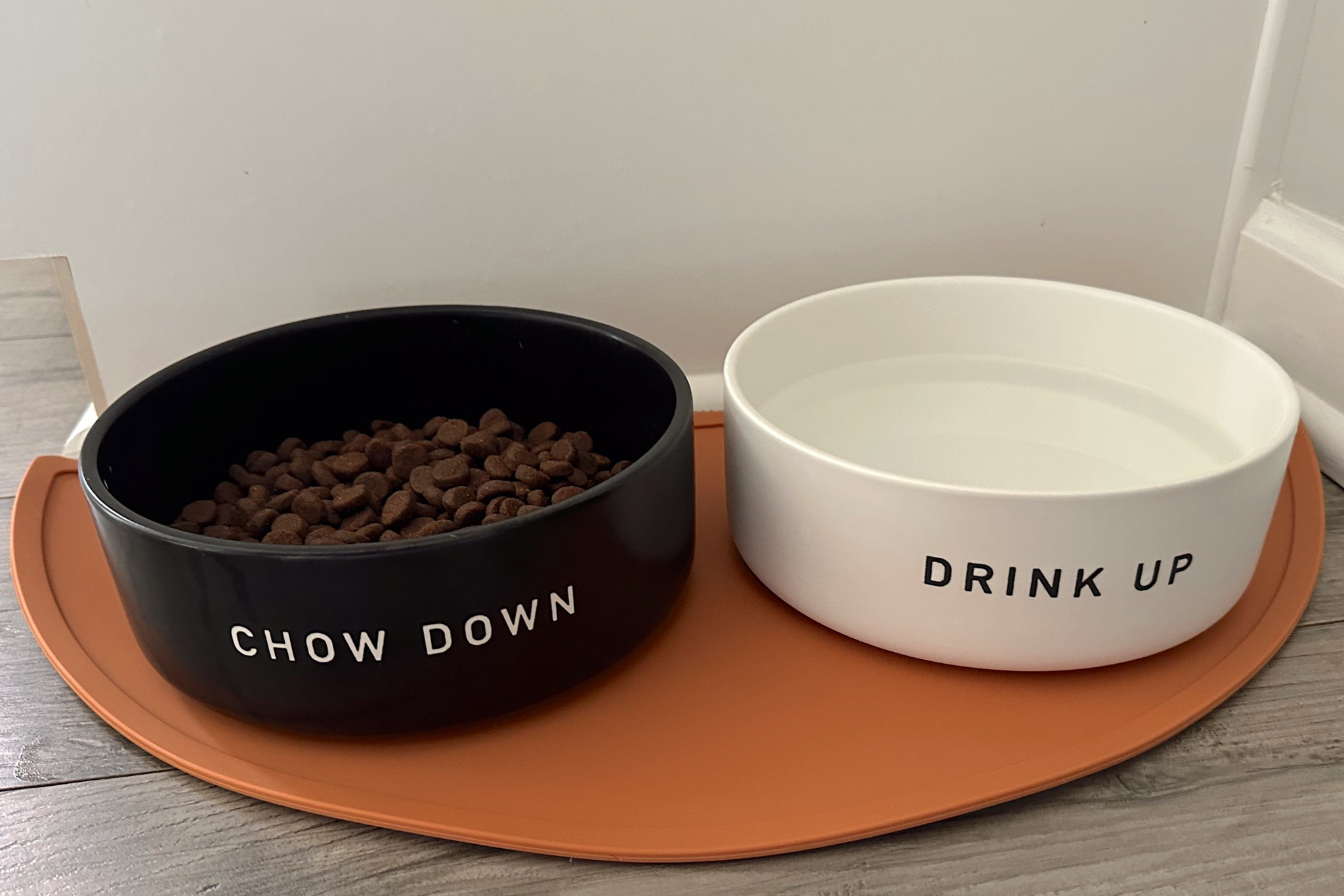 Dog Bowl with Resist Pattern … curated on LTK
