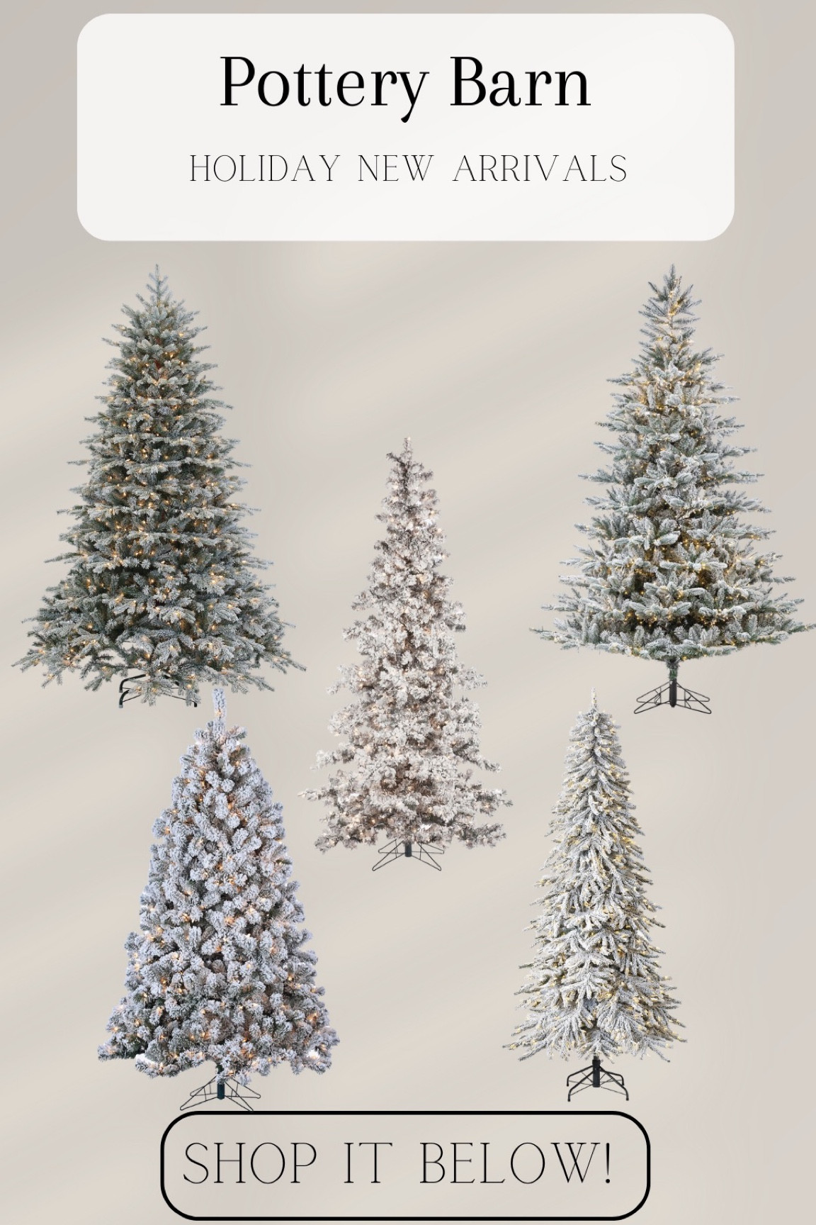 Flocked Christmas trees from Pottery Barn!

Greenery
Wreaths
Faux florals
Pottery barn
Neutral home
Home decor finds
Amazon
Crate and barrel
Target
Cozy home
Christmas decor
Holiday decor
Decor favourites
Minimalist home
Area
Rugs
Loloi rugs
Vase decor
Neutral vases
Wall Art
Christmas trees
Holiday favourites 
Bedroom decor
Kitchen decor
Living room decor
Office decor 
Dining room decor 

#livingroomdecor #livingroommakeover #livingroomideas #livingroominspo #livingroomtips #livingroomtiktok #livingroomdecorinspiration #livingroomdecorationideas #livingroomdesign

#LTKHoliday #LTKSeasonal #LTKhome