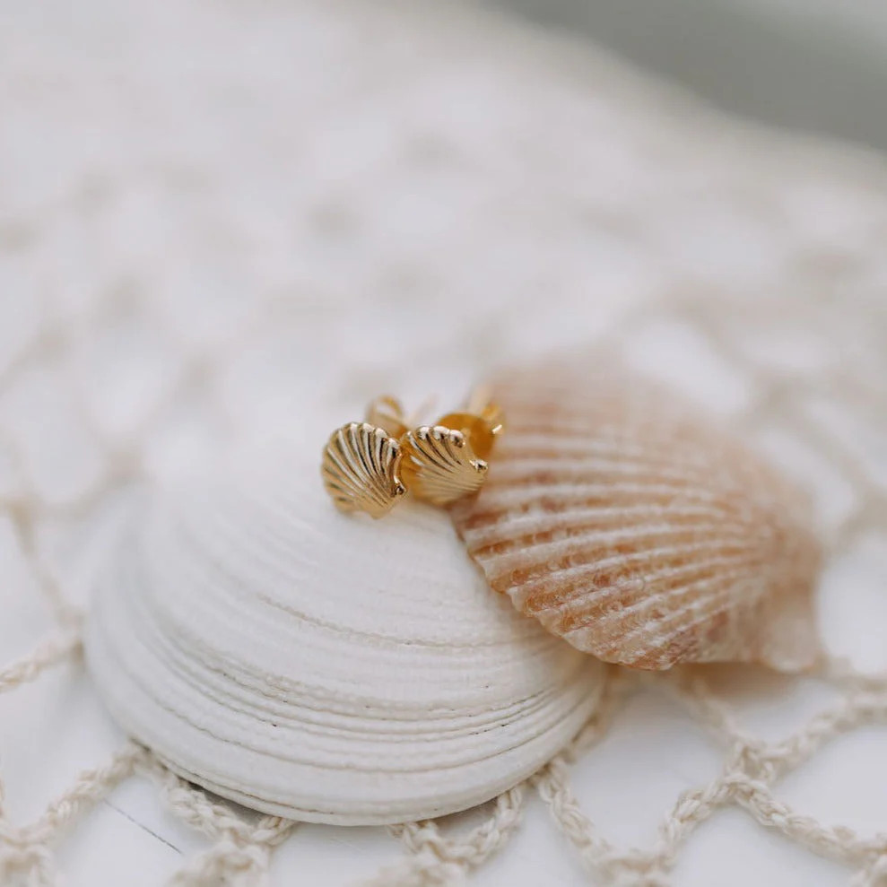 Sea Shell Stud Earrings | Pink Lily