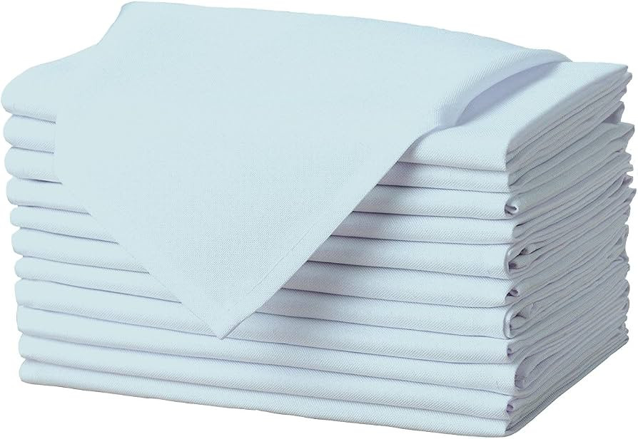Gee Di Moda Cloth Napkins - 17 x 17 Inch Baby Blue Dinner Napkins - Set of 12 Soft & Absorbent Wa... | Amazon (US)