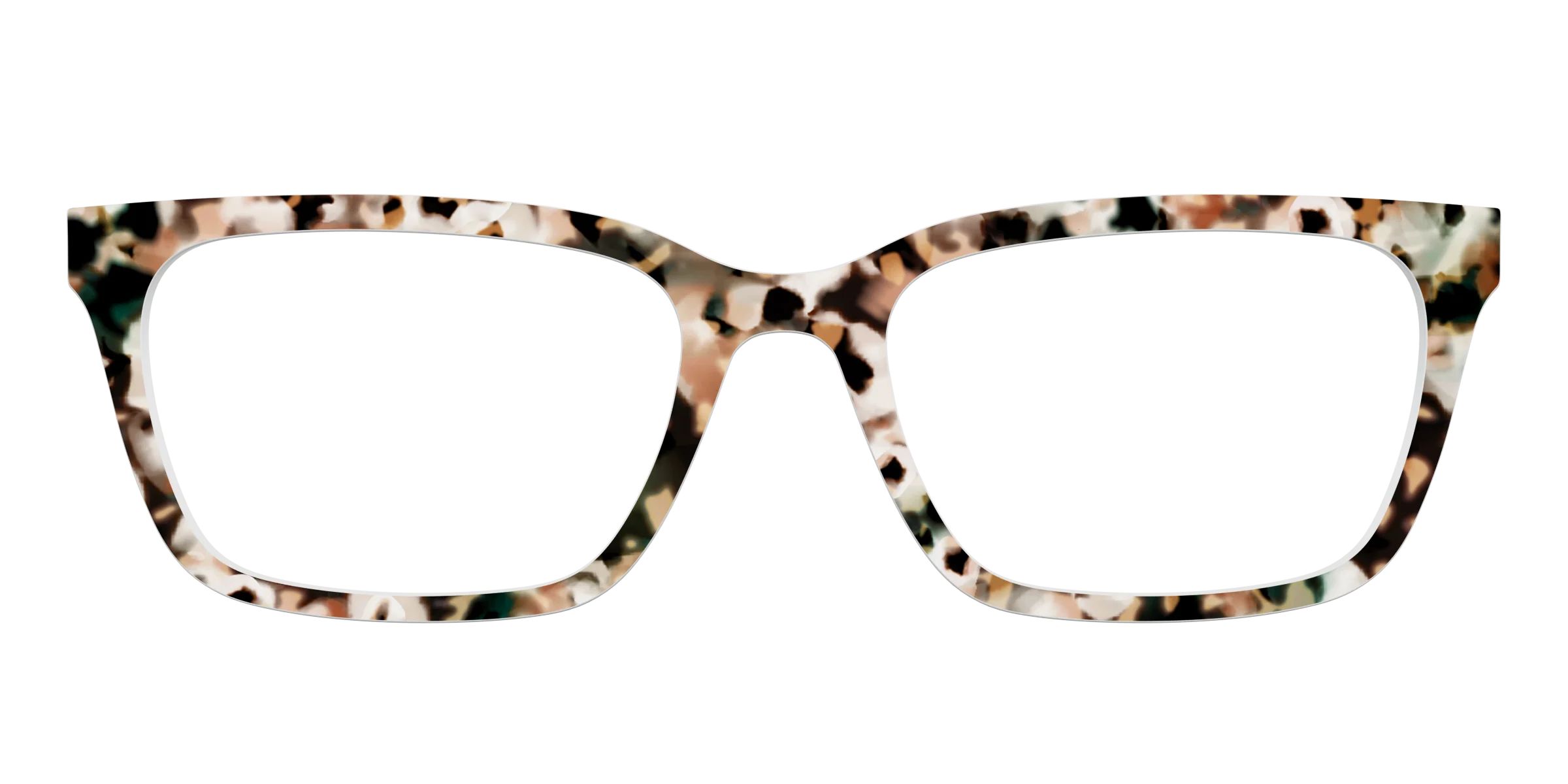 The Fortress Tortoise | Pair Eyewear