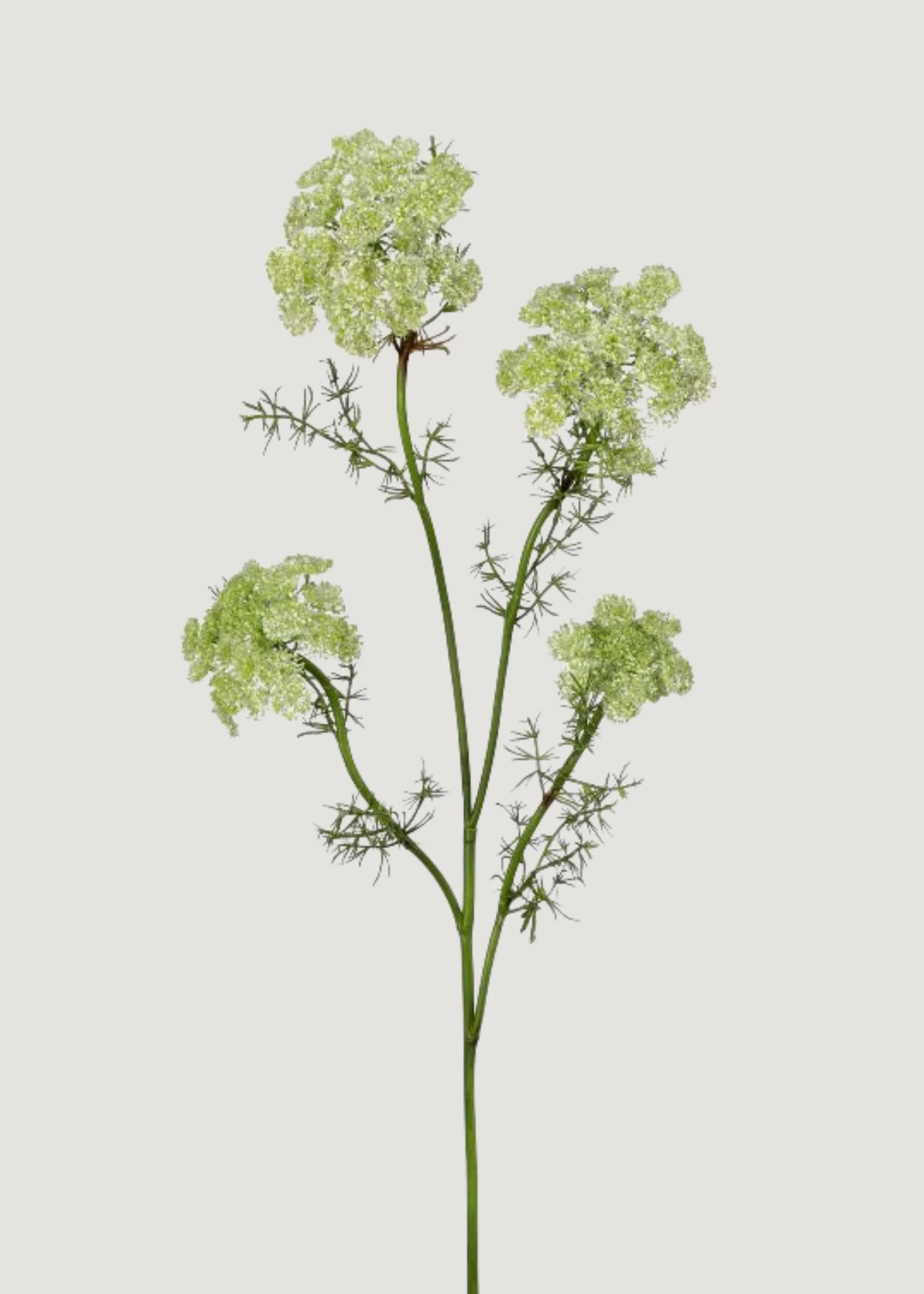 Green Artificial Dill Wildflower Branch - 33" | Afloral