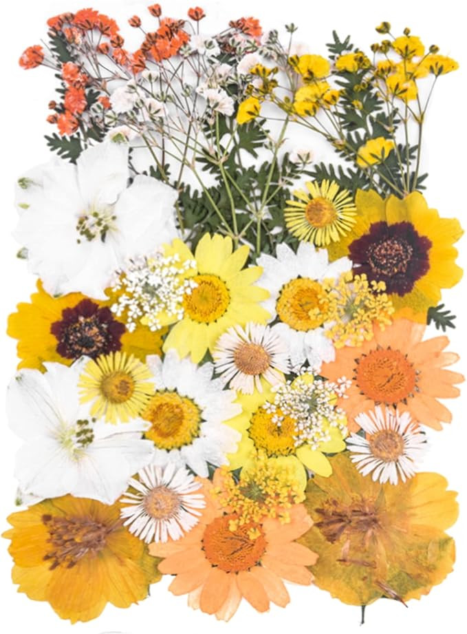 Yellow,white | Amazon (US)