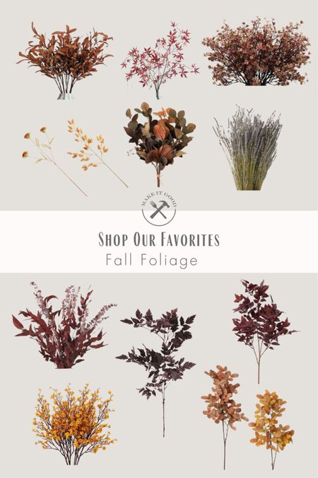 Our favorite fall stems and foliage that are wispy and bring all the cozy fall feelings indoors

#LTKSeasonal #LTKfindsunder50 #LTKhome