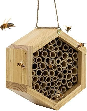 Mason Bee House - Handmade Natural Bamboo Bee Hive - Attracts Peaceful Bee Pollinators to Enhance... | Amazon (US)