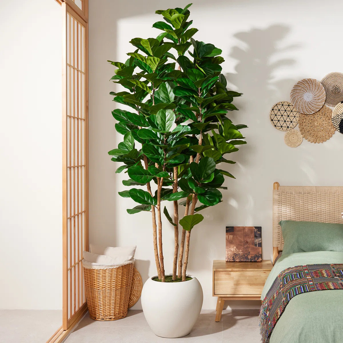 8ft Artificial Fiddle Leaf Fig Tree With Real Wood Trunk And Large White Planter, Faux Fiddle Lea... | Wayfair North America