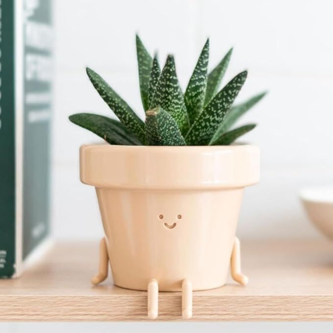 Sitting Indoor Plant Pot, Unique Cute Plastic Flower Pot with Face, 3.5 Inch Succulent/Cactus Gif... | Amazon (US)