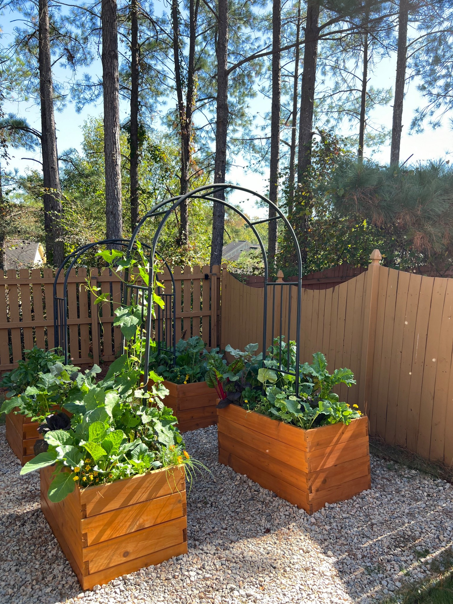 Fall garden vibes! 


Raised beds, gardening, fall, outdoors, wellness, active, planters

#LTKSaleAlert #LTKHome #LTKSeasonal