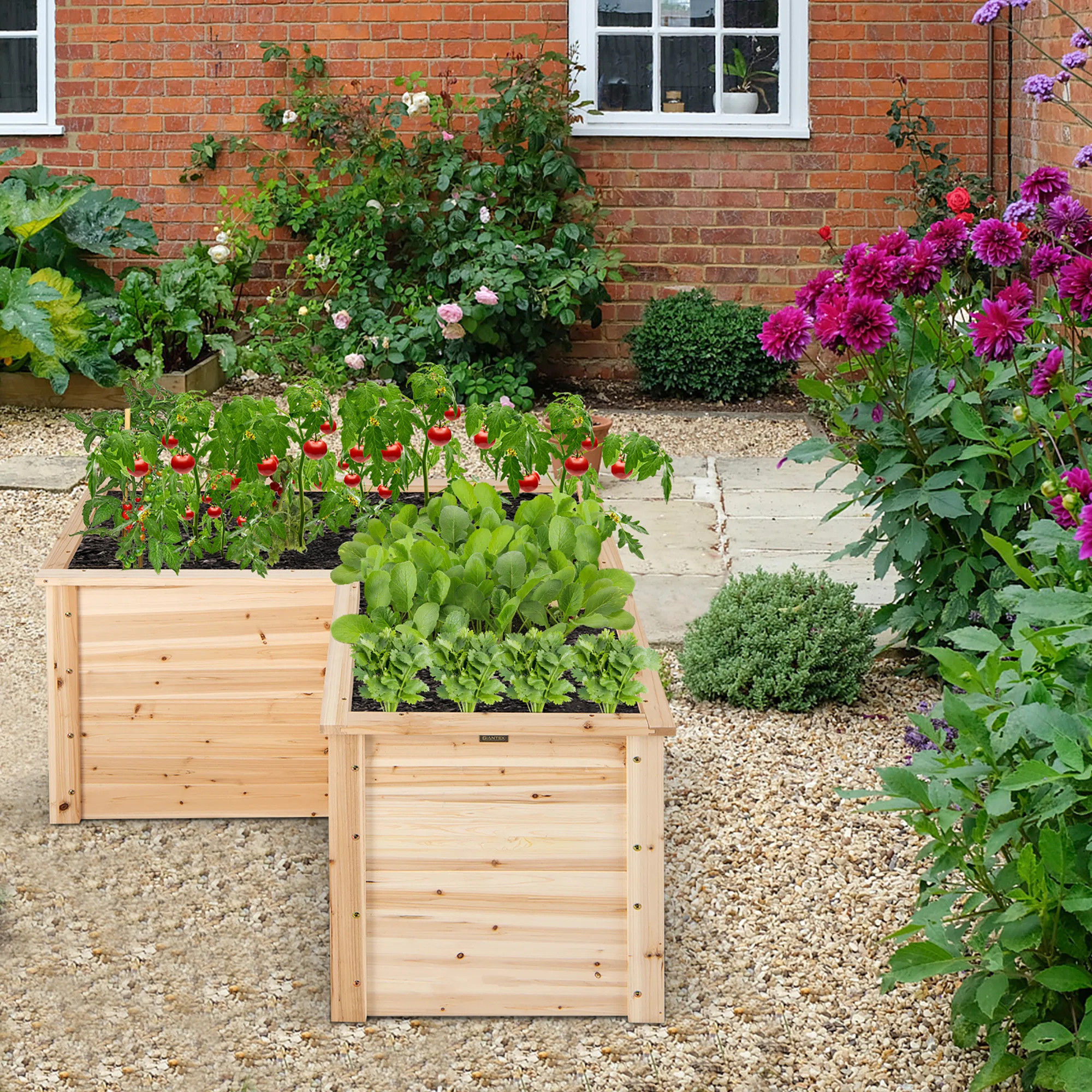 Wood Raised Garden Bed | Wayfair North America