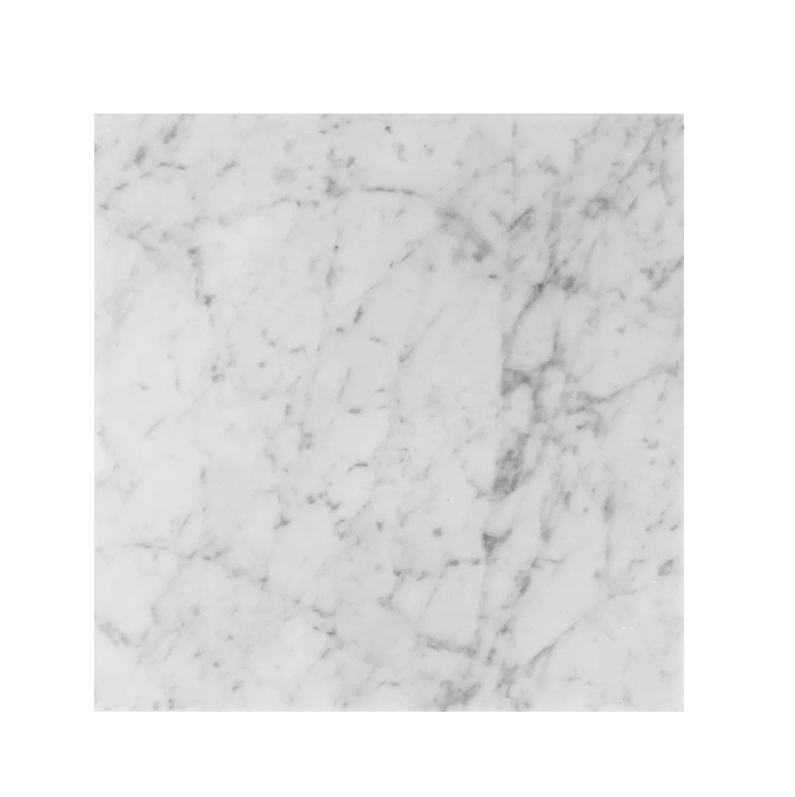 Bianco Carrara 12" x 12" Marble Wall & Floor Tile | Wayfair North America