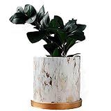 Y&M(TM) Marble Plants Pot Indoor, Plants and Planters Pots Modern Nordic Style Ceramic Marble Look S | Amazon (US)